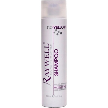 Raywell šampon ochrana barvy 250 ml