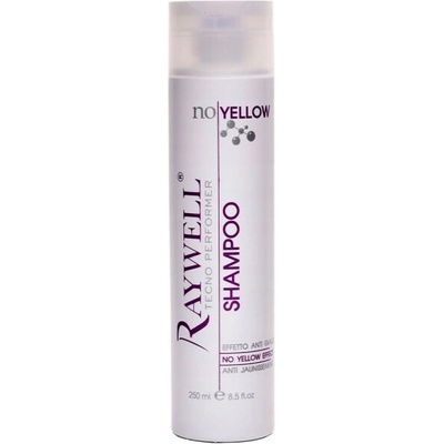 Raywell šampon ochrana barvy 250 ml