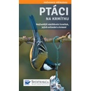 Ptáci na krmítku