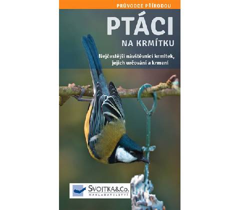 Ptáci na krmítku