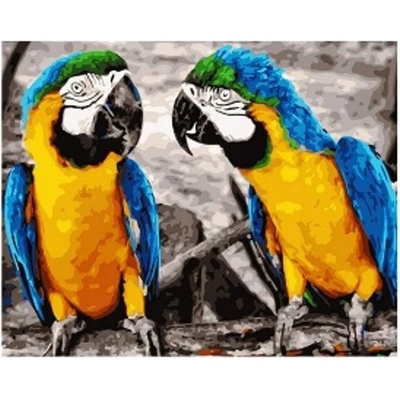 Norimpex - Puzzle Diamant painting: Parrots 30x40cm - 1 - 39 piese