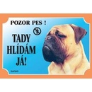 Dafiko Tabulka bullmastif