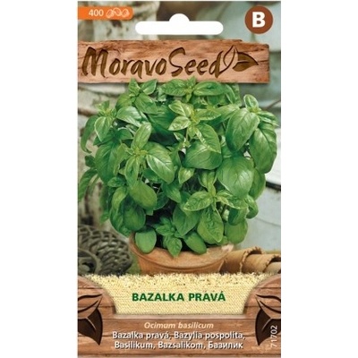 MoravoSeed CZ a.s. MoravoSeed Bazalka pravá