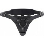 Hidden Desire Seductive Thong Strap-On