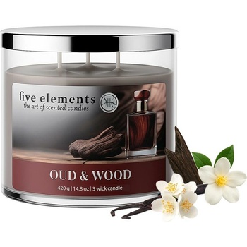 Five Elements Oud & Wood 420 g
