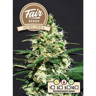 Fair Seeds AUTO Moby Orka semena neobsahují THC 10 ks