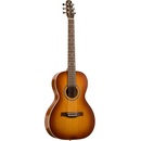 Seagull Entourage Rustic