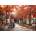 Grafika Art Puzzle - Puzzle Chuck Pinson - A Moment on Memory Lane - 500 piese