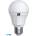 ADELEQ LED крушка Lumen 12W мат 4000K E27 42V AC - 13-2725121 (13-2725121)