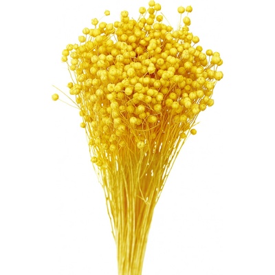 Sušený len žlutý 80 g