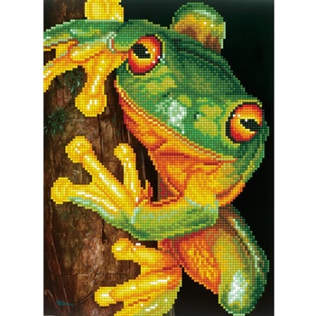 Diamond dotz Зелена дървесна жаба - диамантен гоблен dd7.031