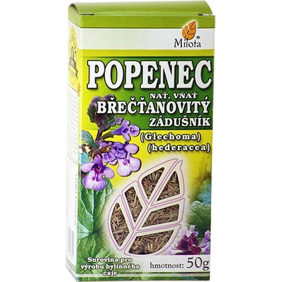 MILOTA Zlopenec brečtanovitý vňať 50 g
