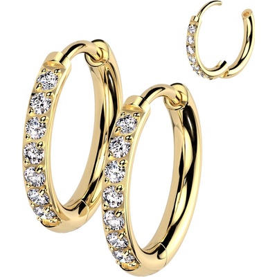 Steel Edge Titanové náušnice krúžky SETRH02-10 Zlata