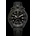 Hamilton H76786733