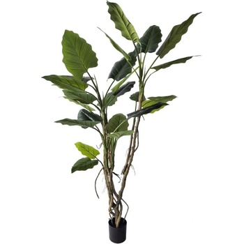 Bizzotto Alocasia РАСТЕНИЕ С ВАЗА h150 (0173038)