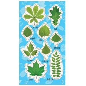 Ranok Creative Spring Letters Stickers