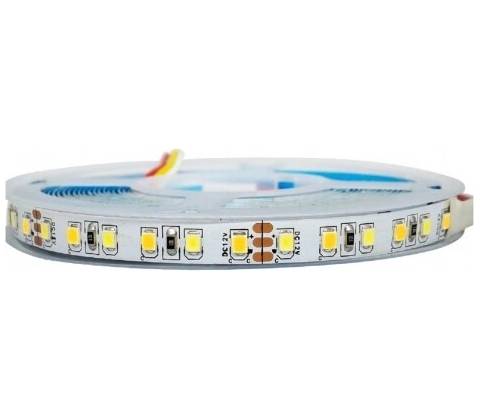 SOH LED558