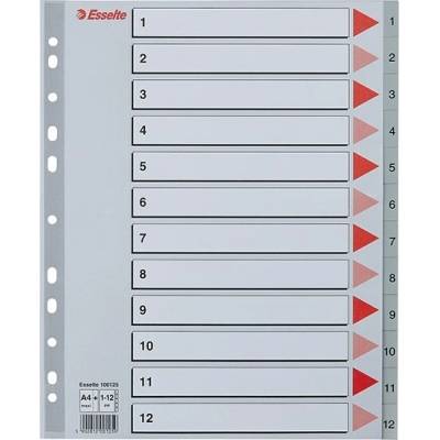 Regál ESSELTE A/4 Maxi z plastu 1–12 sivý 100125