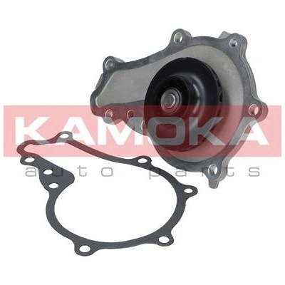 KAMOKA T0081