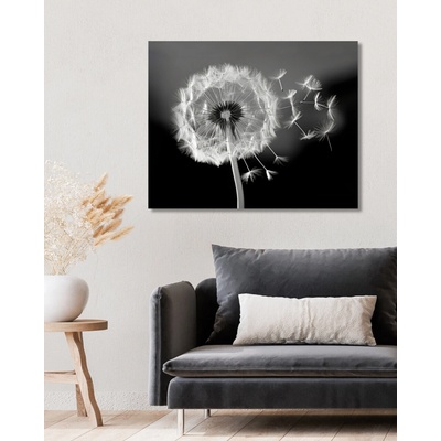ZUTY Obrazy na stenu - Púpava v odkvete Rámovanie: bez rámu a bez vypnutia plátna, Rozmer: 40x50 cm