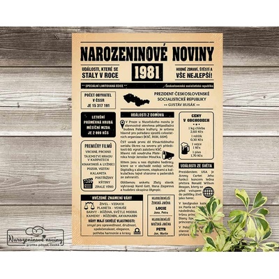 Narozeninové noviny 1981 - jednostranné