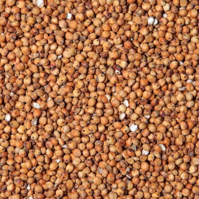 Fauna Hradil Čirok červený - Milo 10 kg