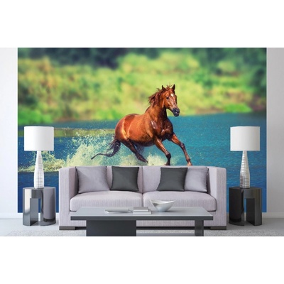 Dimex MA-5-0424 Samolepicí vliesová fototapeta na zeď Kůň běžící jezerem rozměry 375 x 250 cm
