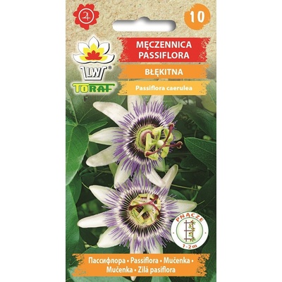 MUČENKA MODRÁ PASSIFLORA CAERULEA /20 SEMEN/