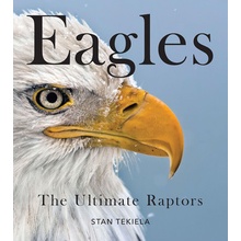 Bald Eagles: The Ultimate Raptors Tekiela Stan