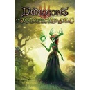 Dungeons 3 - An Unexpected