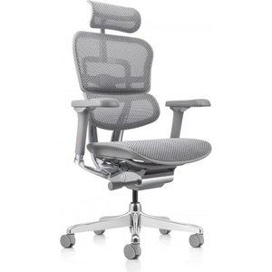 Antares Работен стол Antares ERGOHUMAN 2 ELITE GREY, до 159кг, мрежа, синхронен механизъм, регулируеми подлакътници, регулируема облегалка, лумбална опора, коригиране на височината, сив (ERGOHUMAN-2-ELITE-GRE