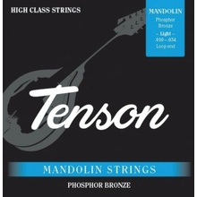 TENSON fosforbronz 010-034