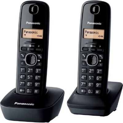 Panasonic KX-TG1612FXH DUO – Zboží Živě