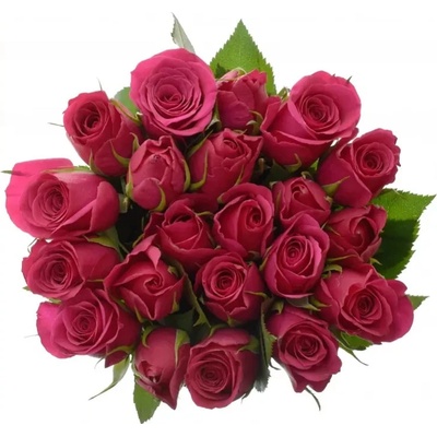 Kytice 21 růžových růží FUCHSIANA 50cm