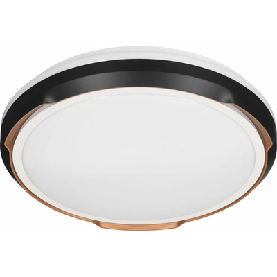 Activejet AJE-PETRUS 24W