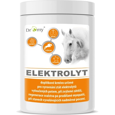 Dromy Elektrolyt 1 kg – Zboží Dáma