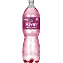 River Forest Fruit 2 l