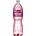 River Forest Fruit 2 l