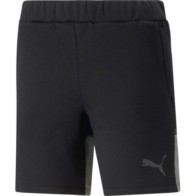 Puma Teamcup Casuals shorts W