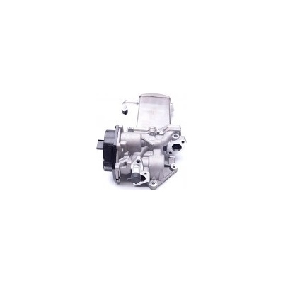 SKV EGR Ventil VW Amarok Golf VI 2.0 TDI