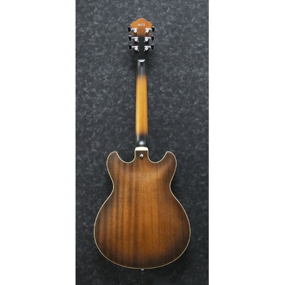 Ibanez AS53