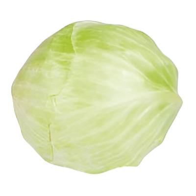 Cena Hlavkoveho Zeli