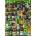 Educa - Puzzle Beers - 1 000 piese