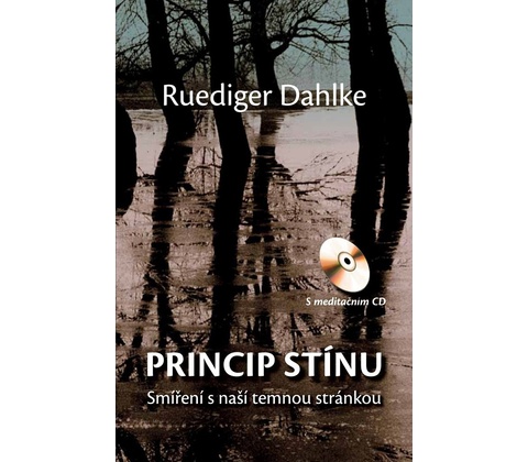 Princip stínu