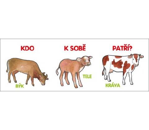 Kdo k sobě patří?
