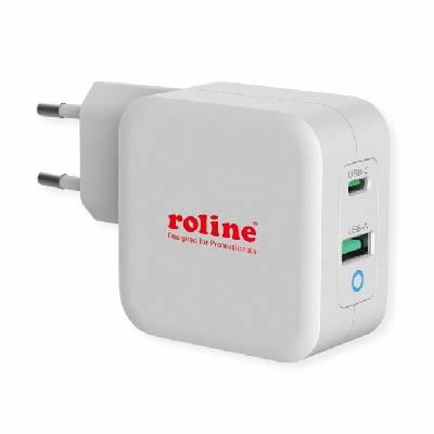 Зарядно устройство Roline 19.11. 1041, от контакт към 1x USB C(ж)/1x USB A(ж), 12V/1.5A, 65W, бяло (19.11.1041)