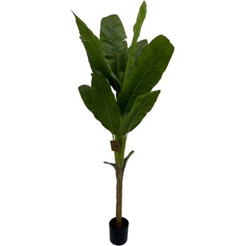 Bizzotto Изкуствено растение Bozzotto, Banana, W-VASE, H210 (0173151)