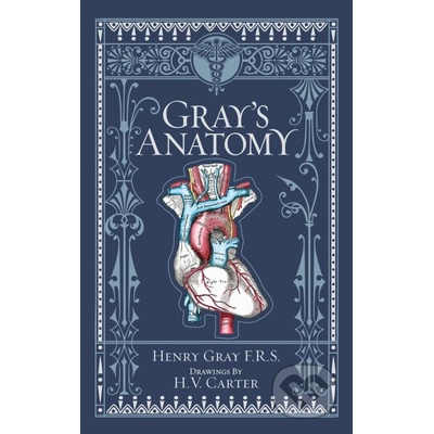 Grays Anatomy - Henry Gray