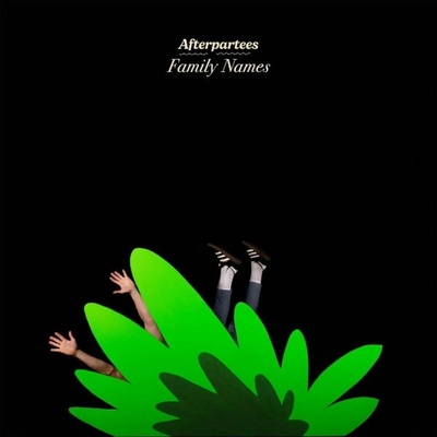 Afterpartees - Family Names LP