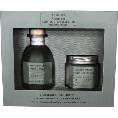 Home Elements sada vonný difuzér 100 ml + svíčka Ranní les 80 g